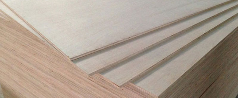 gỗ plywood sồi trắng